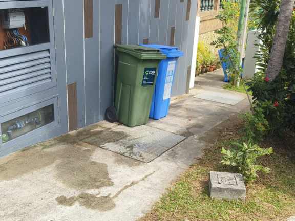 Site cleanup and disposal services Singapore